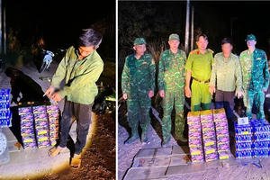 Bắt giữ đối tượng vận chuyển gần 60kg pháo nổ trái phép