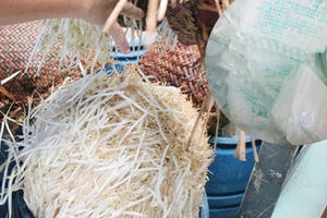 Độc hại như hoá chất làm giá đỗ "siêu tốc"