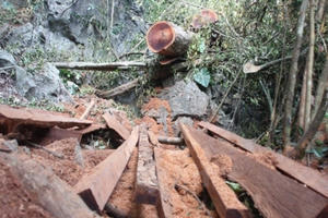 Huỷ hoại cảnh quan thiên nhiên môi trường là tội ác!