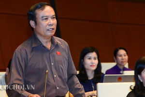 Đại biểu Quốc hội chỉ ra chuyển động “trái khoáy” khiến lái xe container dính 6 năm tù