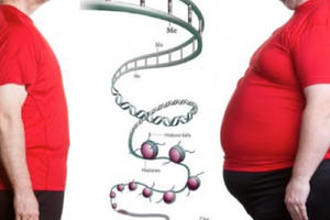 Phát hiện một loại gene giúp bạn 'ăn mãi không béo'