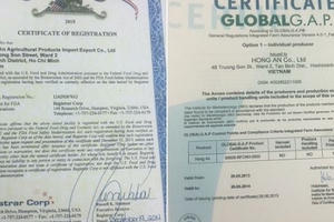 “Luật sư lừa tòa…”: Một thương hiệu lớn có nguy cơ bị xóa sổ?