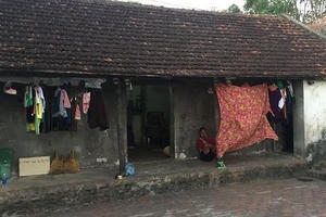 Gặp tai nạn nguy kịch, mẹ đơn thân rất cần được giúp đỡ