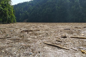 Kinh hoàng cảnh hồ thủy điện Sông Tranh 2 dày đặc gỗ, cây rừng sau mưa lũ