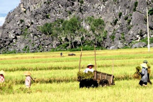 Thanh Hóa: Yên Định trở thành huyện đầu tiên đạt chuẩn nông thôn mới Thanh Hóa: Yên Định trở thành huyện đầu tiên đạt chuẩn nông thôn mới