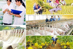 Hoàn thiện hồ sơ chủ trương đầu tư Chương trình mục tiêu quốc gia