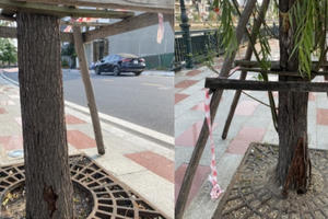 Hải Phòng: Vỉa hè sông Tam Bạc bị cong vênh do điều kiện thiên nhiên khắc nghiệt