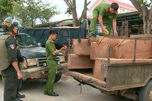 Nhóm đối tượng vận chuyển gỗ lậu, tông thẳng vào công an để tẩu thoát