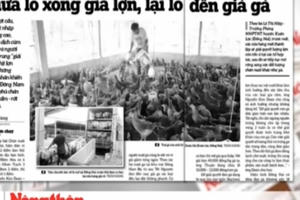 Điểm báo ngày 22/5/2017: Chưa lo xong giá lợn, lại lo đến giá gà