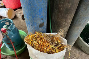 TP Hà Nội: Tạm giữ hình sự 3 đối tượng xả hơn 6,7 tấn chất thải nguy hại ven sông Đuống