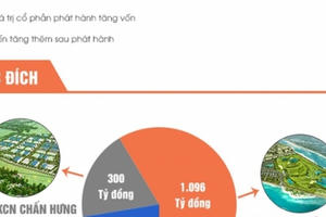 Infographic: Điểm mặt những DN bất động sản tăng vốn chóng mặt