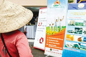 Tin Audio địa ốc 360s: Dài cổ chờ vay tiền mua... nhà ở xã hội