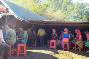 Hai vợ chồng bị sét đánh thương vong khi trú mưa dưới gốc cây cổ thụ