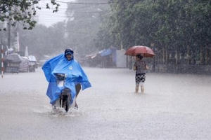 Dự báo thời tiết ngày 28/6: Hà Nội có mưa giông đề phòng gió giật mạnh