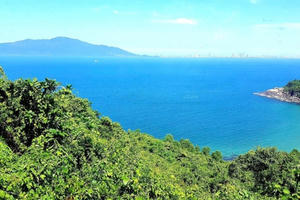 Gia đình tan nát vì video 'nóng' của chồng sau buổi họp lớp