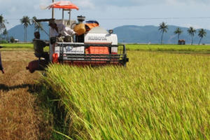 Ký hợp đồng cho máy gặt - Khi những cánh đồng không còn bình yên