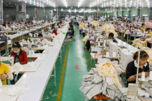 Các gói hỗ trợ đã ban hành: Thực thi nhanh - hiệu quả