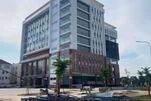 Khổ sở vì bị người thuê góp đất vào hợp tác xã