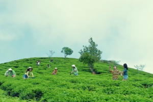 Cộng đồng Sky muốn “tan chảy” sau khi nghe MV “Bình yên những phút giây”