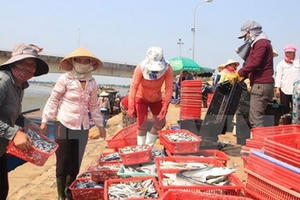 Khởi tố cán bộ thôn 'vòi tiền' để làm hồ sơ đền bù vụ sự cố Formosa