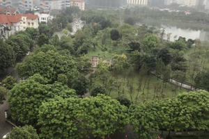 Lấy đất công viên Cầu Giấy làm bãi xe: Có thật 60% người dân đồng ý? Lấy đất công viên Cầu Giấy làm bãi xe: Có thật 60% người dân đồng ý?