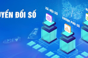 Dành tối thiểu 1% ngân sách Nhà nước hằng năm cho chuyển đổi số