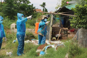 Cúm A/H5N6 độc lực rất mạnh xuất hiện ở Phú Yên