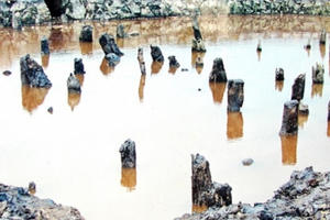 Đề xuất khai quật các khu vực dự án đi qua có bãi cọc cổ Bạch Đằng 1288