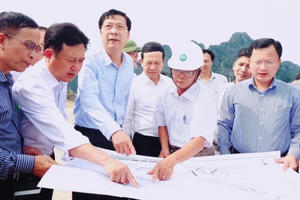 Quảng Ninh: Tạm dừng mọi giao dịch đất đai để kiểm soát "cơn sốt" đất Vân Đồn