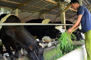 Chỉ đạo và quy luật