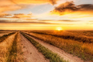 Radio Yêu thương Plus số 161: Yêu thương từ một nơi rất xa