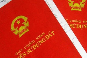 TP HCM: Không lập vi bằng đối với nhà, đất chưa có sổ