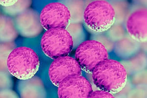 Bảo vệ khỏi siêu vi khuẩn kháng thuốc bằng cách nào?