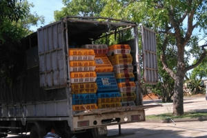 Thanh Hóa: Bắt xe tải chở gần 3 tấn gà không rõ nguồn gốc