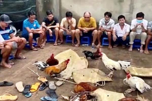 Đập tan tụ điểm đá gà, thu giữ hơn 300 triệu đồng cùng nhiều tang vật