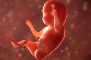 Tại sao có người thuận tay trái?