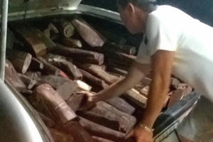 CSGT bắt vụ vận chuyển hơn 1 tấn gỗ trắc không có giấy tờ