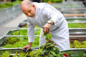 Tận mục những nhà hàng tự trồng vườn rau trên tầng thượng