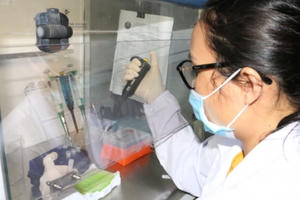 Nghệ An và Hà Tĩnh ghi nhận thêm các F0, nhiều ca được xác định trong cộng đồng