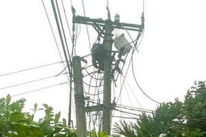 Phú Thọ: Trèo lên cột điện bắt ong, người đàn ông bị điện giật tử vong