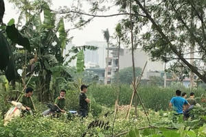 Phát hiện thi thể người bị cháy sém bên bụi chuối