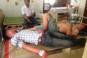 Bị đàn ong rừng tấn công, 15 người nhập viện