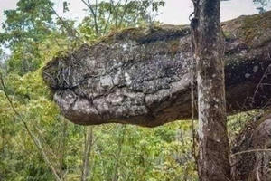 Tìm thấy hang động hình rắn khổng lồ