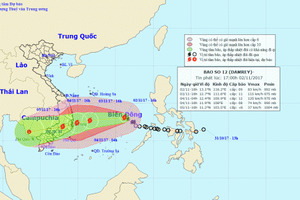 Chủ động ứng phó bão số 12