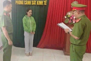 Khởi tố nữ giám đốc mua trái phép trên 500 hóa đơn, trị giá tiền tỷ