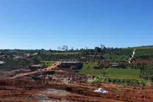 Lâm Đồng: Đình chỉ công tác nhiều cán bộ có dấu hiệu buông lỏng quản lý đất đai