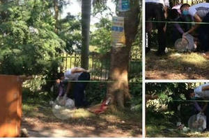 Hà Nội: Phát hiện người đàn ông tử vong bên gốc cây nghi do nắng nóng