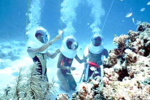 Du lịch cùng đa dạng sinh học: Cơ hội gắn liền trách nhiệm