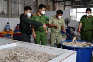 Đồng Nai: Phát hiện hơn 9 tấn nội tạng heo đông lạnh không rõ nguồn gốc