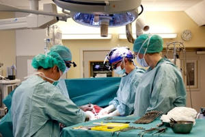 Em bé đầu tiên sinh từ tử cung hiến của người đã chết